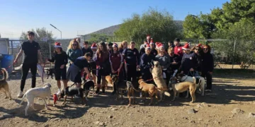 Λέρος: 35 παιδιά του Πανιωνίου χάρισαν αγάπη στα σκυλάκια του Φιλοζωικού Σωματείου