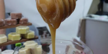 Με απόλυτη επιτυχία διεξήχθη το 16ο Φεστιβάλ Ελληνικού Μελιού και Προϊόντων Μέλισσας