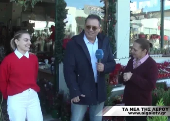 Οι επαγγελματίες της Λέρου στέλνουν τις ευχές τους για τη νέα χρονιά (ΒΙΝΤΕΟ)