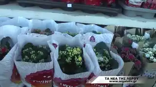 Οι επαγγελματίες της Λέρου στέλνουν τις ευχές τους για τη νέα χρονιά (ΒΙΝΤΕΟ)