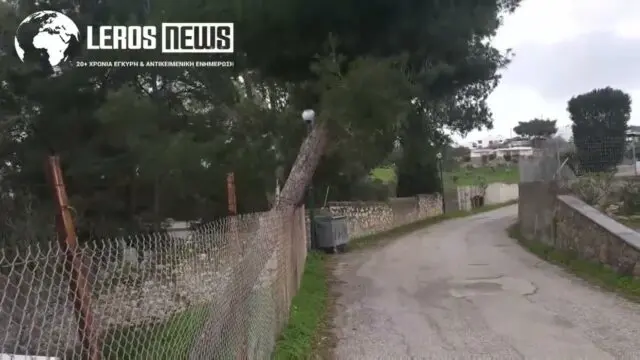 Λέρος: Έκκληση πολίτη για επικίνδυνο πεύκο στο Λακκί