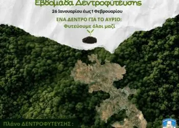 Εβδομάδα Δεντροφύτευσης από τον Δήμο Λέρου