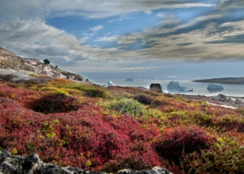 «Απόβαση» ευρωπαϊκών δυνάμεων στη Γροιλανδία ως… μήνυμα στις ΗΠΑ