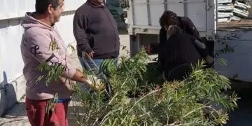 2.700 δασικά και καλλωπιστικά φυτά από το Περιφερειακό Φυτώριο αλλάζουν το περιβάλλον και το μέλλον των νησιών