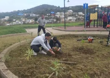 Λέρος: Δράση δεντροφύτευσης από τον Σύλλογο Γονέων του Δημοτικού Σχολείου Αλίντων στη Γούρνα